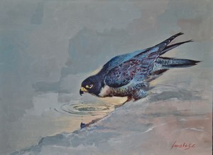 Exposici&oacute;n actual Babel